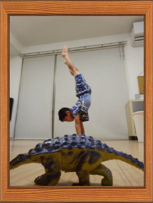 �I���V���ʐ^�R���e�X�g