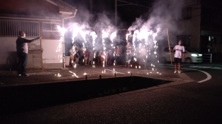 �i�C�A�K���̑�ԉ�