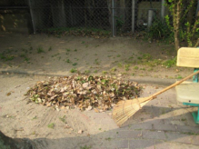 ���������|