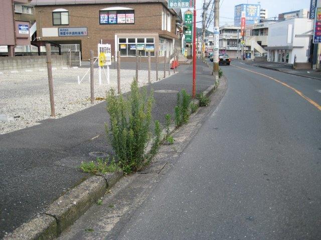 ���������|