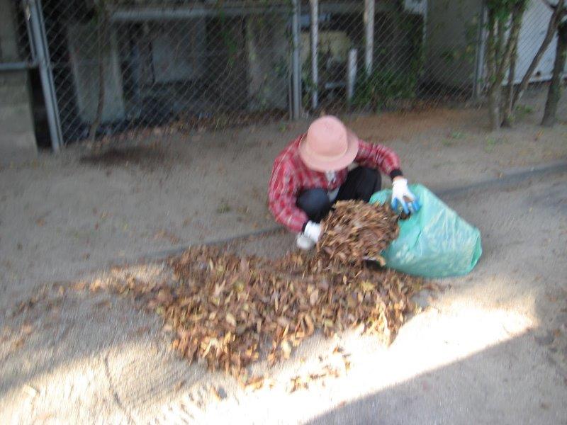 ���������|