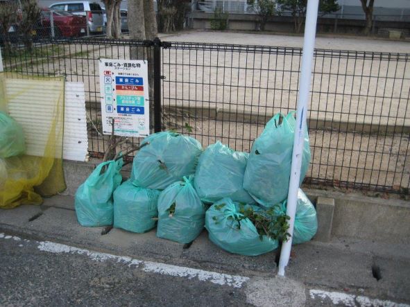 ���������|