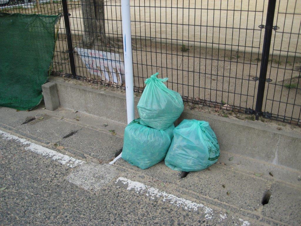 ���������|