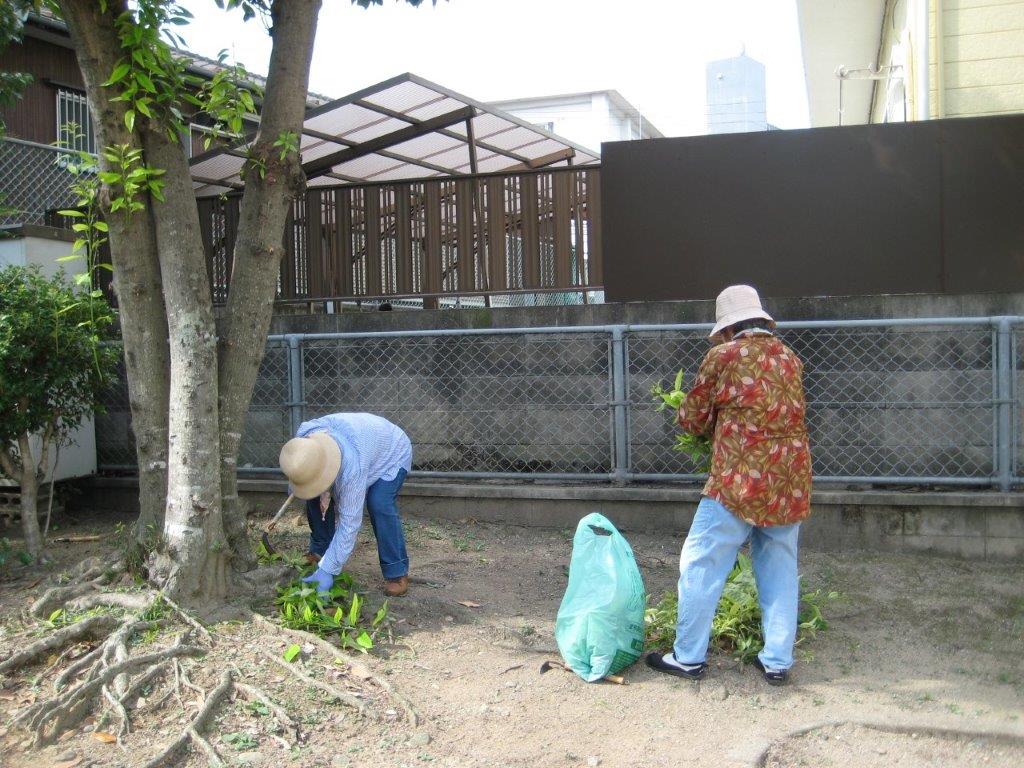 ���������|